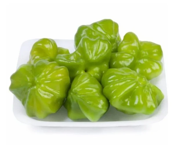 206749-1200-auto 206749-1200-auto