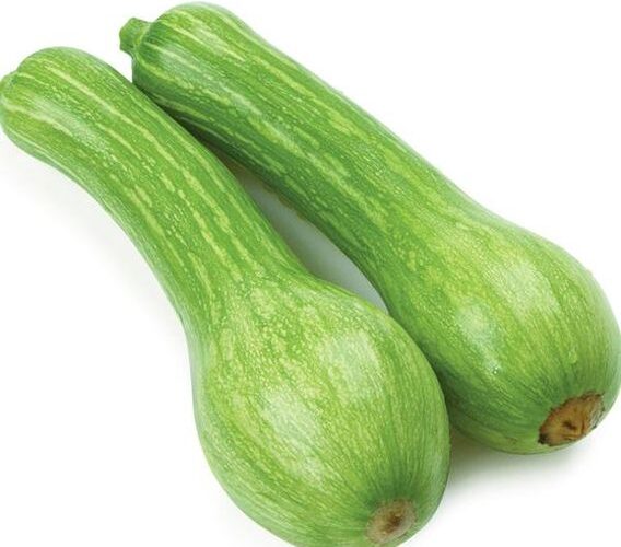 https___compremais.vtexassets.com_arquivos_ids_398653_Abobora-Menina-A-Granel-Kg https___compremais.vtexassets.com_arquivos_ids_398653_Abobora-Menina-A-Granel-Kg