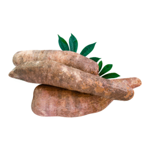 Mandioca Amarela