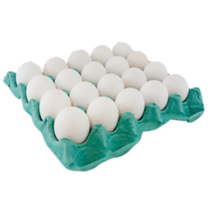 Ovo Branco 20 unidades