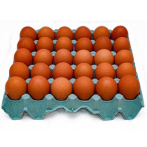 Ovos Vermelhos 30 unidades