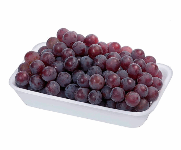 Imagens site (22) Imagens site (22)