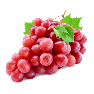 Uva Red Globe