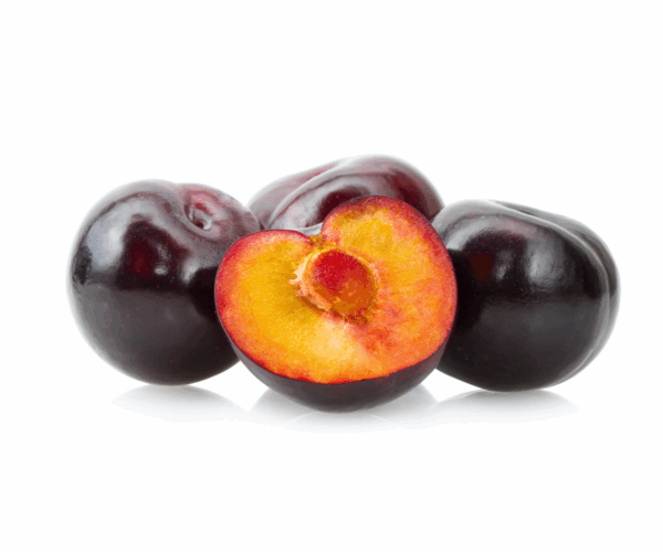 Imagens site (31) Imagens site (31)