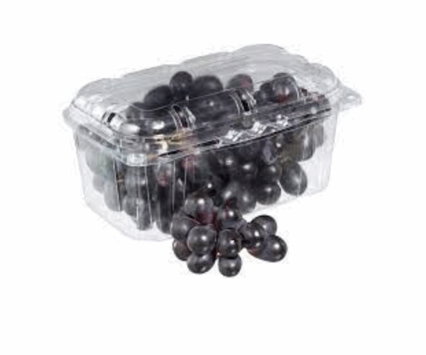 Imagens site (5) Imagens site (5)