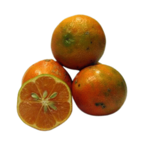 Limão Cravo (Vermelho ou Capeta)