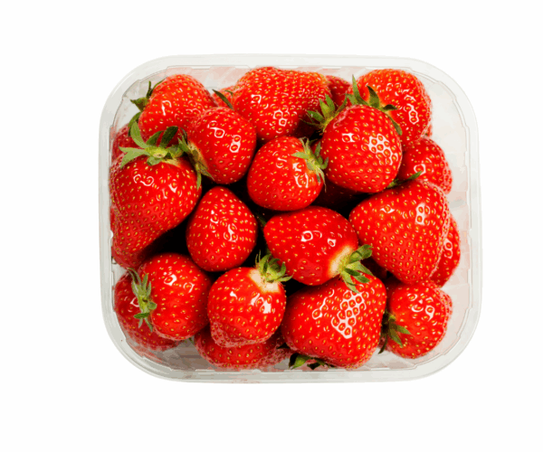 Imagens site (80) Imagens site (80)