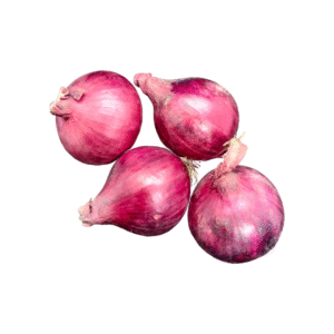 Cebola Roxa média