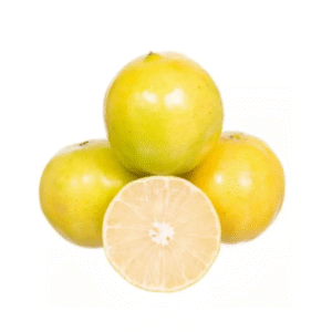 Laranja Lima da Pérsia