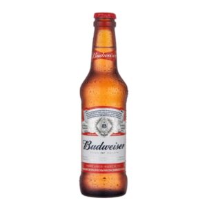 Cerveja Budweiser - long neck